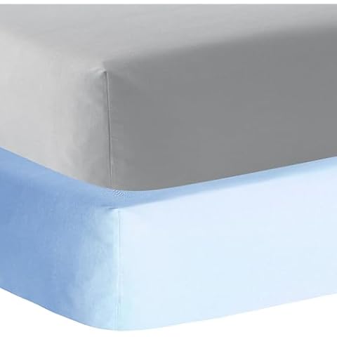 AYASW Fitted Sheet Only 2 Pieces Light Blue and Light Grey Queen Size Soft Brushed Microfiber Cover