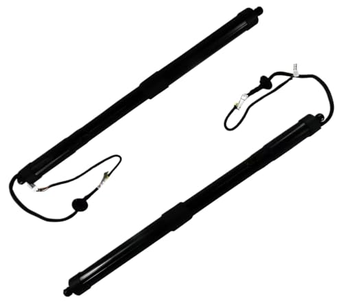 Vérins automatiques de hayon arrière Toyota Rav4 pour remplacer 6891009010