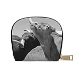 Design pratique : l'ouverture principale à fermeture éclair révèle deux compartiments principaux et douze emplacements pour cartes, offrant un grand espace de rangement. Il y a deux emplacements pour l'argent liquide ou les chèques, vous permettant d'organiser vos petits effets personnels dans ce mini portefeuille pour des voyages sans tracas.