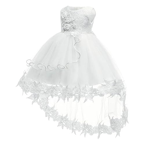 Baby Toddler Lace Dress for Girls' Baptism