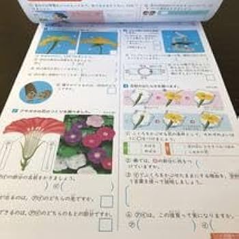 Amazon.co.jp: ト7 基礎基本理科Aプラス 5年生 文溪堂 学習 問題
