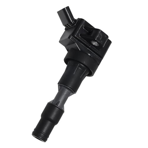 Bobines d'allumage 2730104110 pour éliminer les ratés de moteur essence