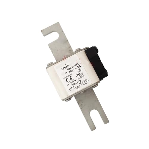 Fusible 170M4262 pour la protection des circuits de forte intensité