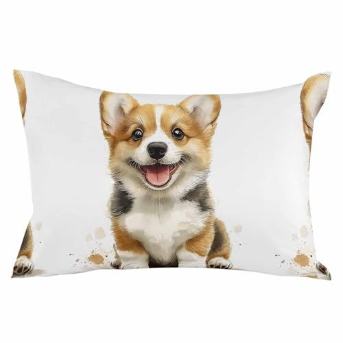 Pillowcase 24x36 Inch - Body Spring Cartoon Style Cute Soft Brushed Microfiber Pillow Covers with Hidden Zipper Closure Bed Pillow Shams for Bedroom Sofa Car, 1pcs