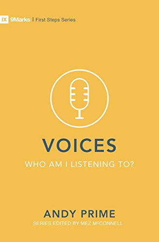 Voices – Who am I listening to? (First Steps)