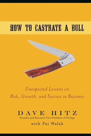 How to Castrate a Bull: Unexpected Lessons on Risk, Growth, and Success in Business book cover