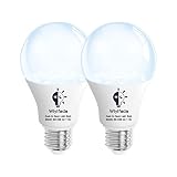 Wiyifada Dusk to Dawn Light Bulbs Outdoor 5000K Daylight, 2 Pack Sensor Automatic On/Off Outdoor Lig