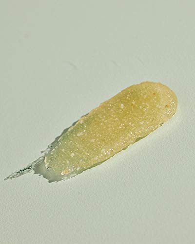 Sparitual Jasmine Tuberose Vegan Body Polish | 6Oz #TOP1