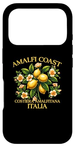 C^A A}tBC  X[xjA C^A X}zP[X iPhone 17 Pro p