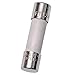FERRAZ SHAWMUT GSD315/1000 5X20MM FA Fuse 250V 315/1000A