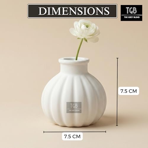 Image of Small Vase for Home (7.5x7.5 cm) | White Aesthetic Flower Vase for Living Room, Coffee Table & Shelf | Minimal Handmade Concrete Pumpkin Vase for Modern Interiors