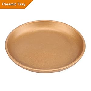 8 Inch Ceramic Plant pots (Set of 2), 8 Inch 7 Inch Modern Flower Planter, Gold Marble Gardening Pots with Drainage Hole and Saucer for Outdoor Indoor Yard Garden Home Office Decoration. 8 Inch Ceramic Plant pots Set of 2 8 Inch 7 Inch Modern Flower Planter Gold Marble Gardening Pots with Drainage Hole and Saucer for Outdoor Indoor Yard Garden Home Office Decoration