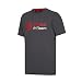 Haas American Formula 1 F1 Gray Team Logo Shirt (2XL)