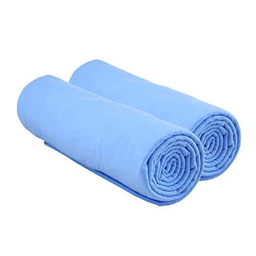 Serviette de bain pour chien et chat hyper absorbante à séchage rapide pour animaux