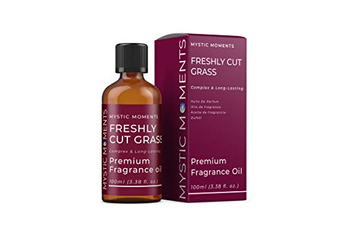 Mystic Moments | Freshly Cut Grass Fragrance Oil - 100ml - Perfect for Soaps, Candles, Bath Bombs, Oil Burners, Diffusers and Skin & Hair Care Items