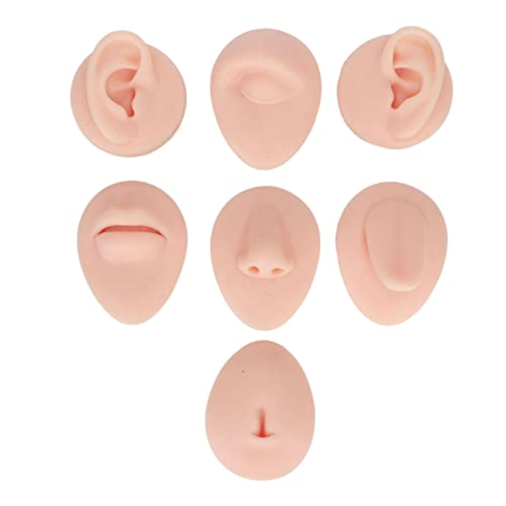 Body Piercing Practice Model, 3D Ear Simulation