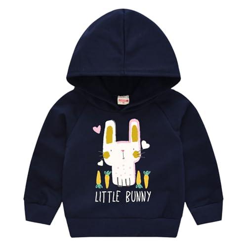 Girls Boys Fleece Hoodies Cute Cartoon Graphic Sweatshirts Teens Kids Casual Loose Pullover Clothes Fall Winter Trendy Tops