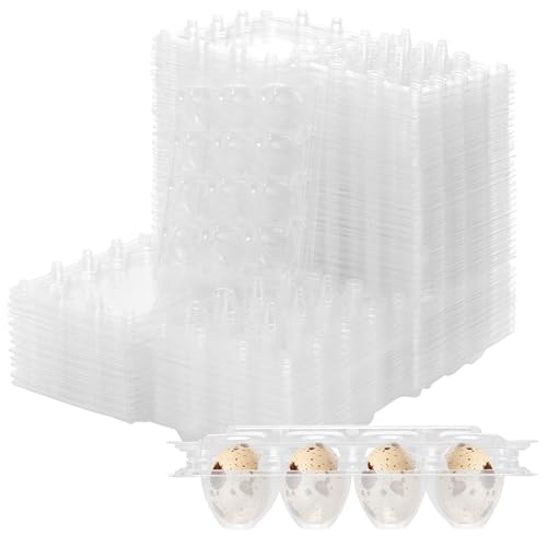 HEIYUET 80 scatole per uova di quaglia, in plastica trasparente, scatole per uova di quaglia a 12 griglie, porta uova di quaglia, riutilizzabili, in PVC, con coperchio per frigorifero