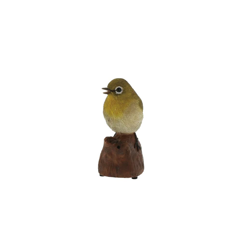 アンプ　手作り大　メジロ　小鳥 アンプ 手作り大 メジロ 小鳥