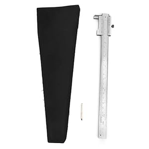 Walfront Edelstahl Nonius-Messschieber 0-200mm