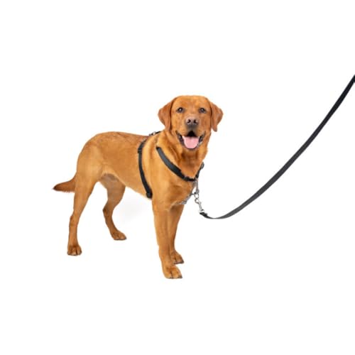 PetSafe Harnais 3-en-1 pour Chien - Ceinture de S&eacute;curit&eacute; pour Voiture - Anti-Traction &ndash; Confortable, Coutures R&eacute;fl&eacute;chissantes &ndash; Noir, L
