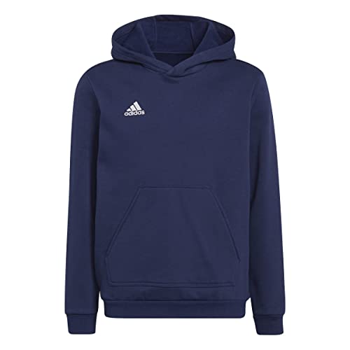 adidas Mixte enfant Ent22 Hoody Y HOODED SWEAT, Tenabl, 164 EU