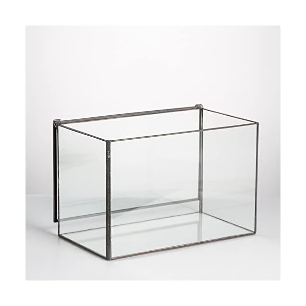 NCYP-Small-Rectangle-Glass-Terrarium-Planter-with-Lid-67-x-4-x-48-Inches-Clear-Black-Geometric-Flower-Pot-Box-for-Succulents-Air-Plant-Fern-Tabletop-Decoration-No-Plants NCYP-Small-Rectangle-Glass-Terrarium-Planter-with-Lid-67-x-4-x-48-Inches-Clear-Black-Geometric-Flower-Pot-Box-for-Succulents-Air-Plant-Fern-Tabletop-Decoration-No-Plants