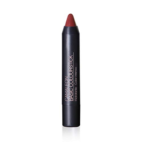 Camaleon Cosmetics - Basic Colourstick Terra - Pintalabios Mate - Larga duración - Con Aloe Vera y Rosa mosqueta - Hidratante - Color Terra - Vegano - 1 Unidad - 4gr