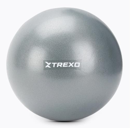 TREXO Mini pelota de gimnasia en color gris con un diámetro de 20 cm fabricada en PVC Pelota de ejercicio duradera y resistente al desgaste. Ligera y fácil de llevar, perfecta para fitness