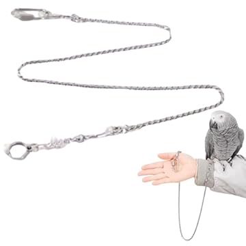 bird harness for african greys: 5 Surprising Picks You Didn't Expect 2 bird harness for african greys