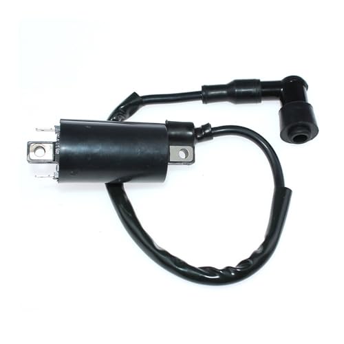 CRF450R CRF250R DN-01 NSA700A 250 VTR250 GL650 GL650I CX650TɓKCOjbVRC