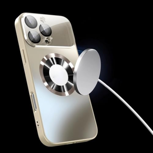 Étui en Titane pour iPhone 13 Pro Max Noir Coque Luxe avec Protection Objectif