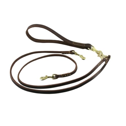 Sangle double pour animaux avec corde de traction pour chien robuste
