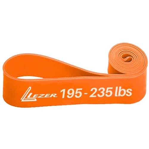 Image of LEZER Resistance Bands - Pull Up Bands for Home Gym Fitness, Stretching, Physical Therapy & Training - Includes Instruction