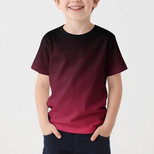 2-13T Baby Boys and Girls Tops Kids Summer Fashion Gradient Shirts Short Sleeves Crewneck Loose Comfy T-Shirts2
