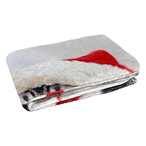 Couverture chaude chat de Noël plaid isolant idéal pique-nique et lit - 3