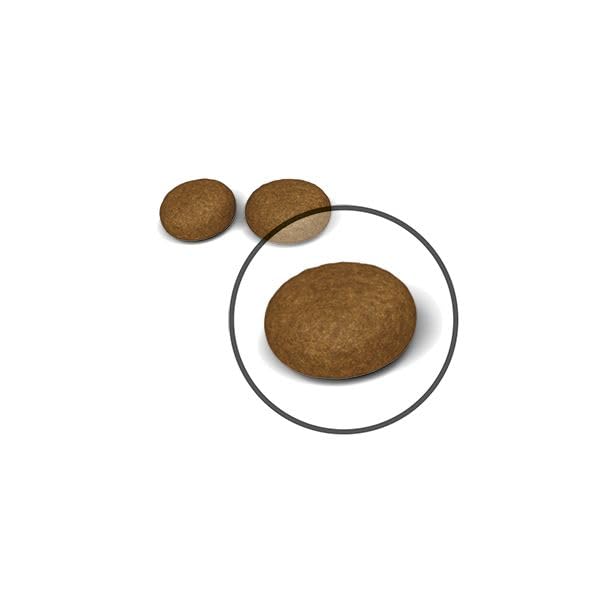 Image of Royal Canin Hair & Skin Care Cat Food, 2 Kg, Dry Food, Supports Healthy Skin and Shiny Coat, Proven Results in 21 Days