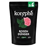 Koryphé