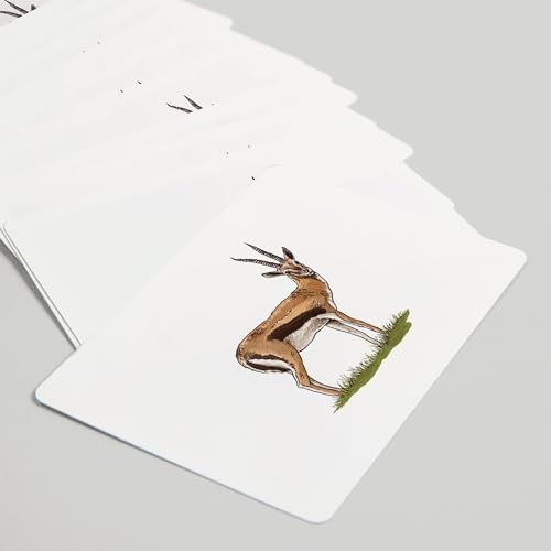 Lantern Press Antelope 52 Cartas Póker para Adultos miniatura 5