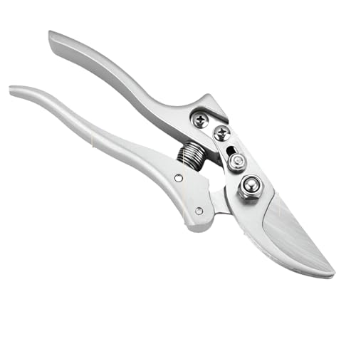 [Aishaba]y|΂݁zsnێZp lԍHwfUC ؂̙ƌ tEΎp ƒ뉀|Dƌ ϋv̖{ihK[fc[ 