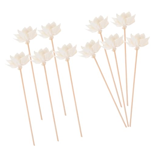 Abaodam 10Piezas Varillas de Reemplazables con Flores para Difusores de Esenciales Aromas para Hogar y Oficina