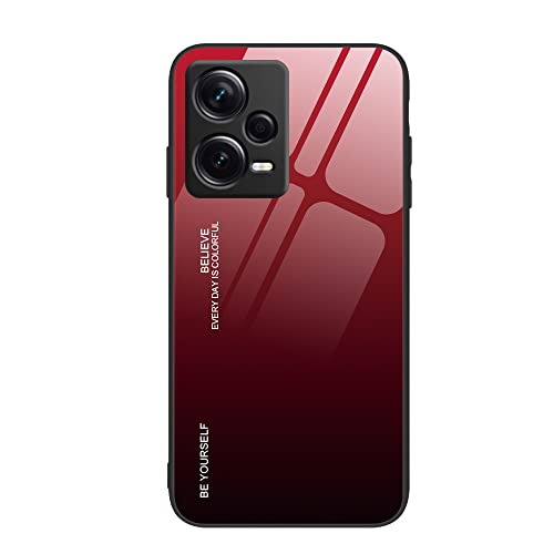 Vetro Sfumato Cover per Xiaomi Redmi Note 12 PRO 5G con Schienale in temperato + Cornice Paraurti silicone Morbido AntiGraffio Custodia Protettiva Case 5