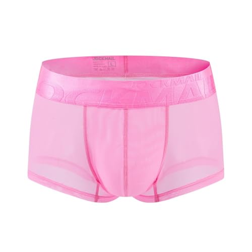 Mens Sexy Mesh Underwear Boxers See Through Sheer Trunks Ultra Thin Bulge Pouch Boxer Briefs3