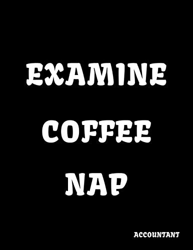 ACCOUNTANT: Funny Office Lined Notebook Journal Daily Planner Diary 8.5"x 11" Journal Notebook Blank Lined Book image 3