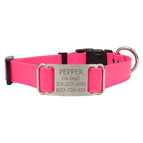 dogIDS Personalized Quick Release Waterprooft ScruffTag Dog Collar - Built-in Custom Laser Engraved Nameplate, Odor Resistant - Magenta, 3/4 in x 14-18 in (Fits Neck Sizes: 14-18 in)