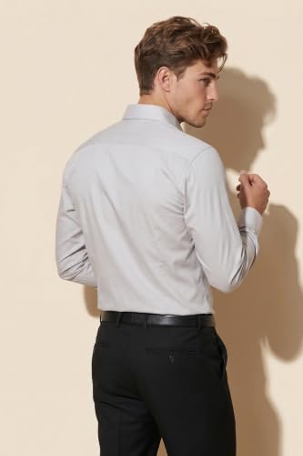 Image of Peter England Men's Satin Solid Regular Fit Formal Shirt | Cotton with Satin Sheen | Luxury