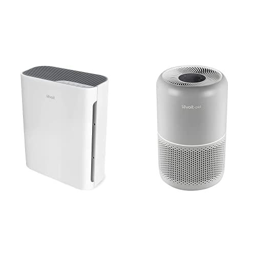 Levoit Core P350 Air Purifier Review The Best Affordable Air Purifier?