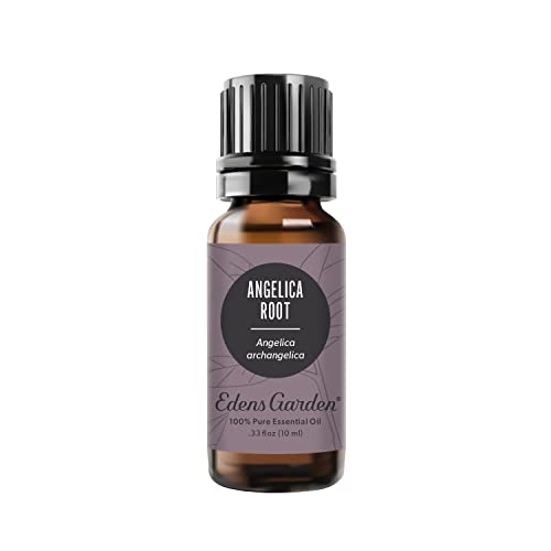 Edens Garden Angelica Root Essential Oil, 100% Pure Therapeutic Grade (Undiluted Natural/Homeopathic Aromatherapy Essential Oil Singles) 10 ml