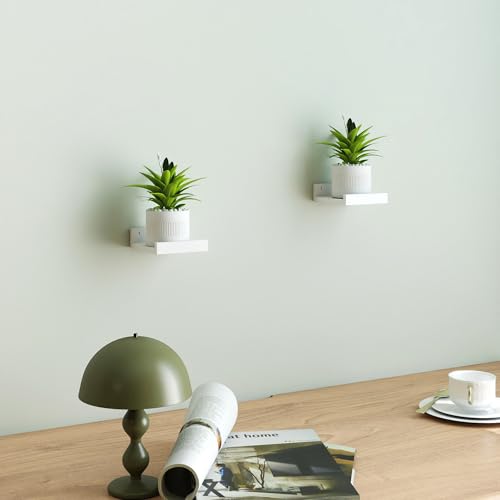 Image of Small White Floating Shelves for Wall, Shelf with Lip Set of 2, 4 in