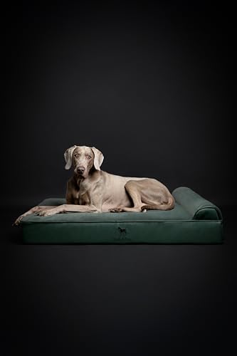 NOAH & PAW XL Dog Bed, 45x35x11 Inch, Orthopedic Large Dog Beds, Eggshell Memory Foam Infused with Cooling Gel, Waterproof, Machine Washable, Includes Inner Cover (Faux Leather)
